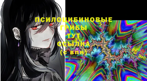 сатива Володарск