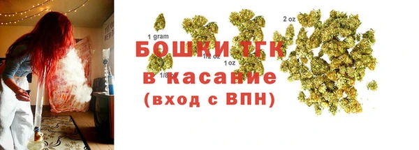 сатива Володарск