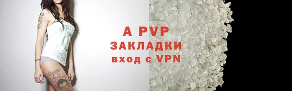 ECSTASY Волоколамск