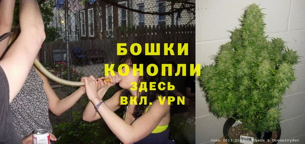 сатива Володарск