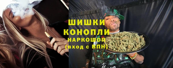 сатива Володарск
